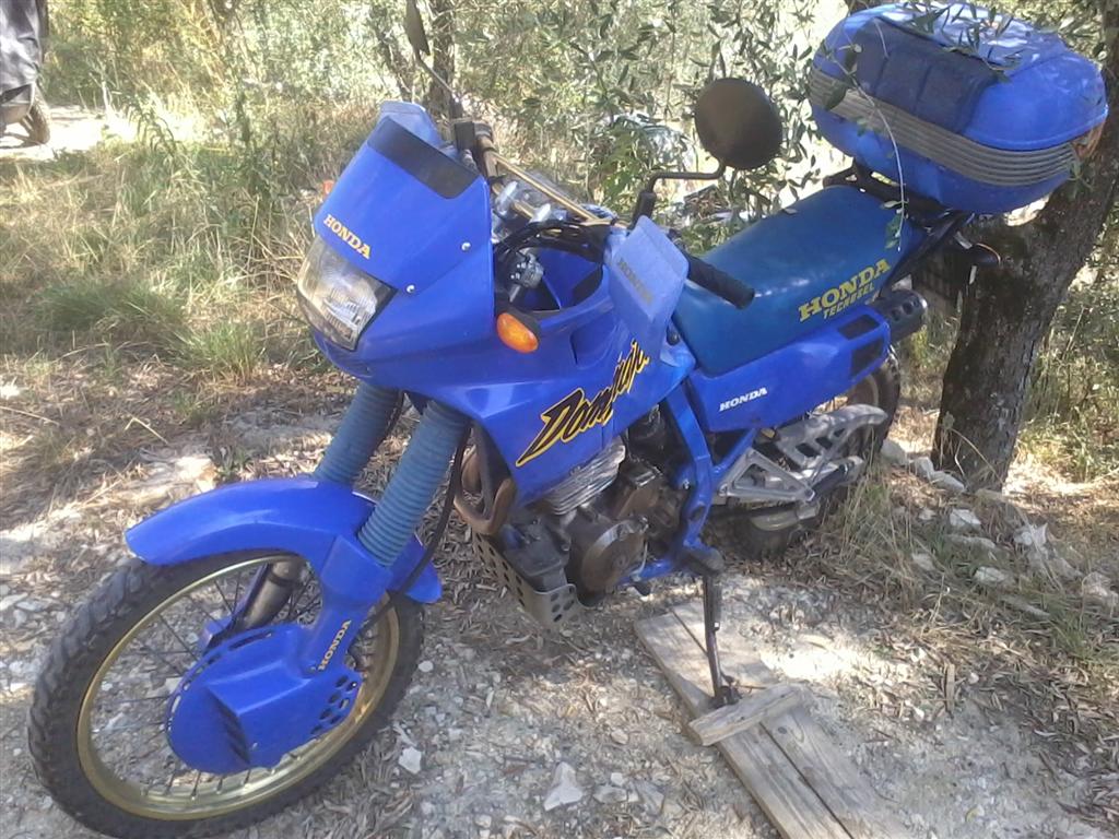 Honda dominator prima serie #7